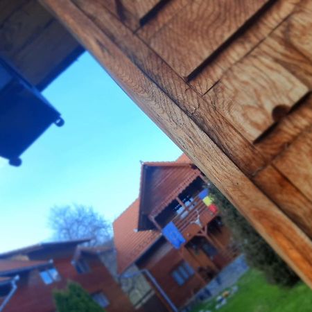 Pensiunea Codru Sălciua de Jos Esterno foto