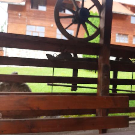 Pensiunea Codru Sălciua de Jos Esterno foto