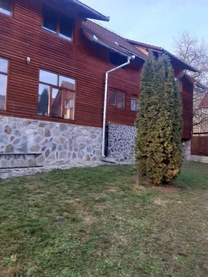 Pensiunea Codru Sălciua de Jos Esterno foto