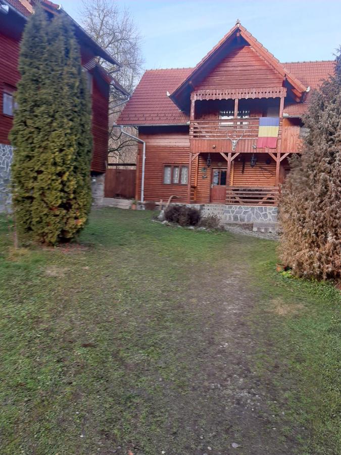Pensiunea Codru Sălciua de Jos Esterno foto