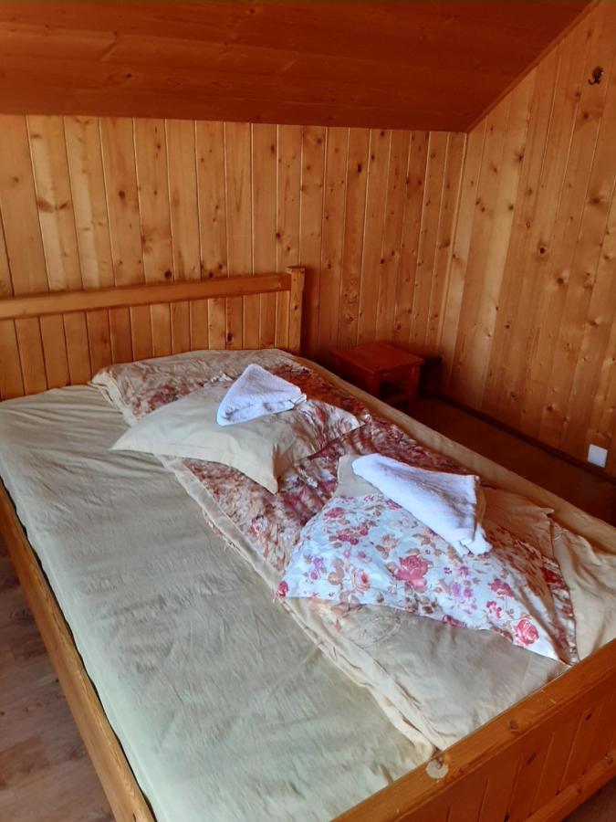 Pensiunea Codru Sălciua de Jos Esterno foto