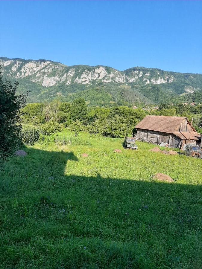 Pensiunea Codru Sălciua de Jos Esterno foto