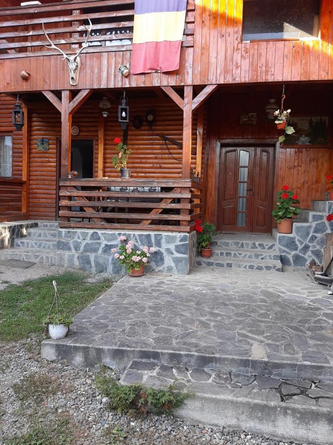 Pensiunea Codru Sălciua de Jos Esterno foto